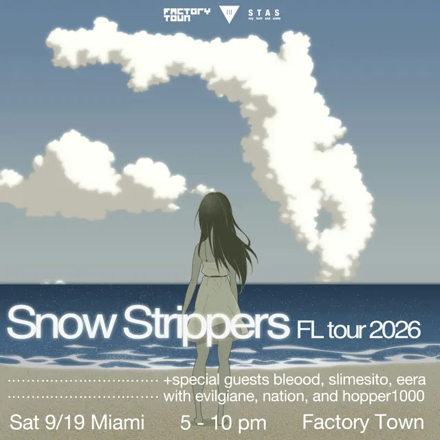 Snow Strippers